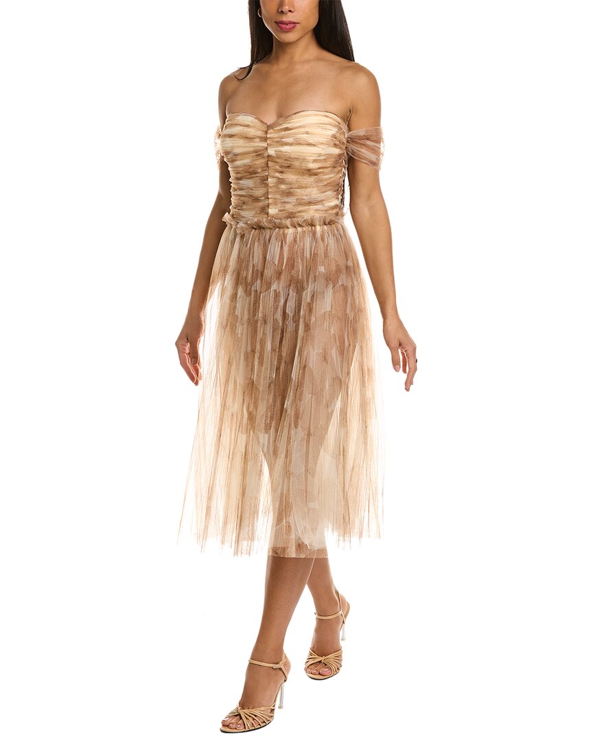 Shop Elisabetta Franchi Mini Dress In Brown