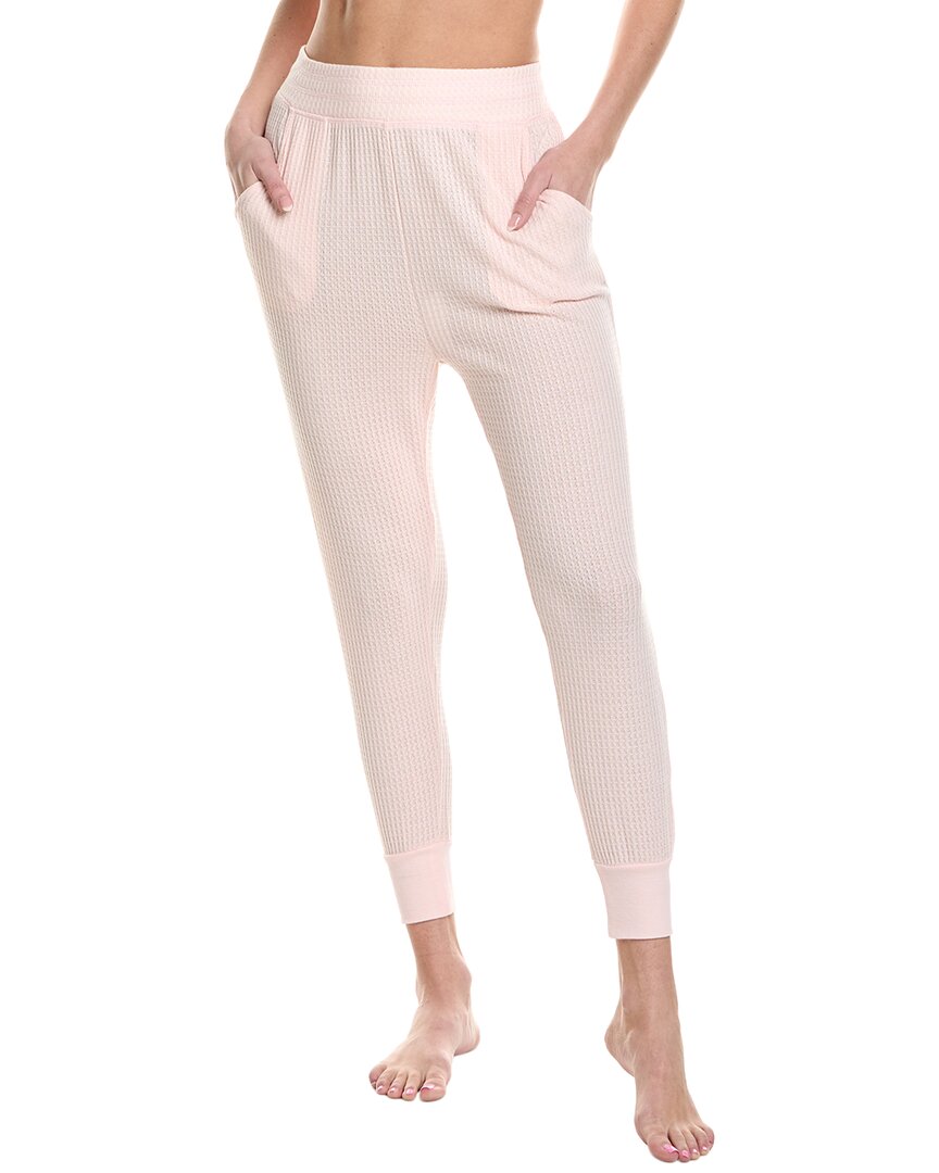 HONEYDEW HONEYDEW INTIMATES SNEAK PEEK PANT