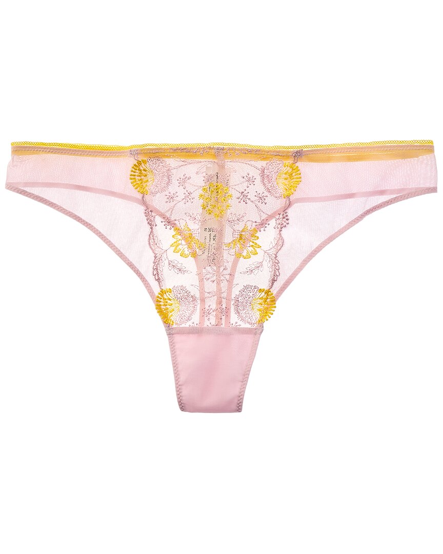 Passionata Chloe Lace Thong In Pink