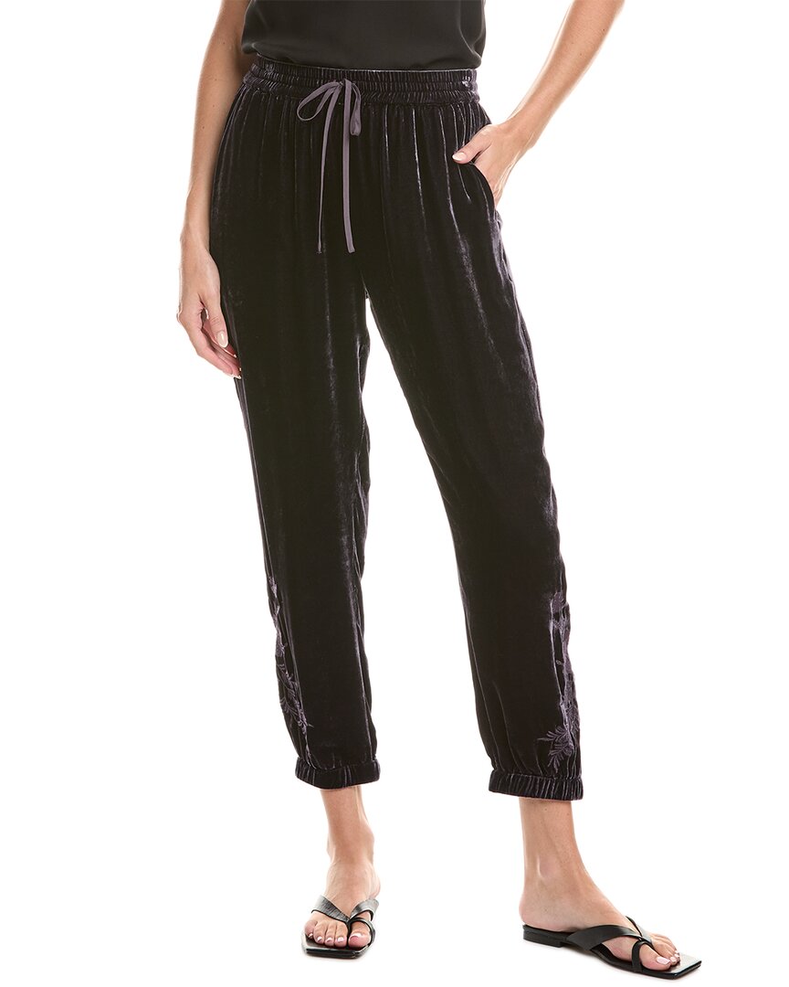 Johnny Was Velvet Silk-blend Jogger Pant In Black