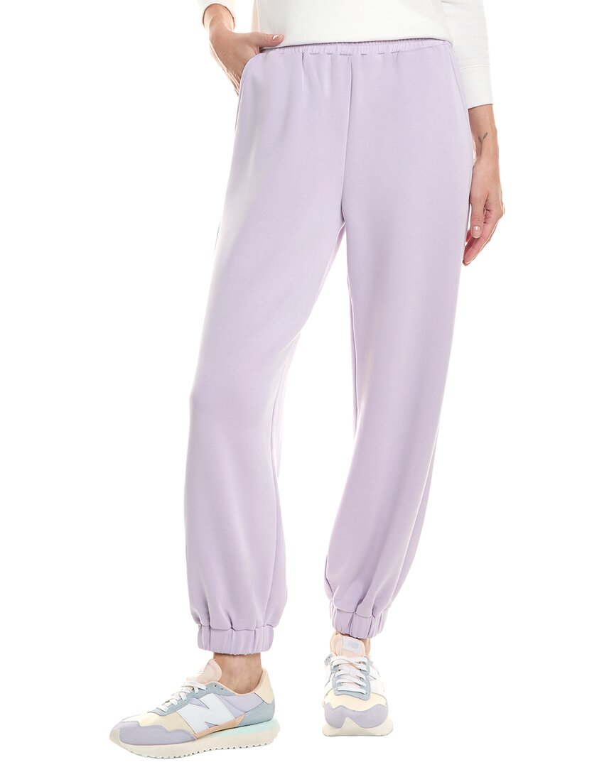 Fate Sweatpant In Purple