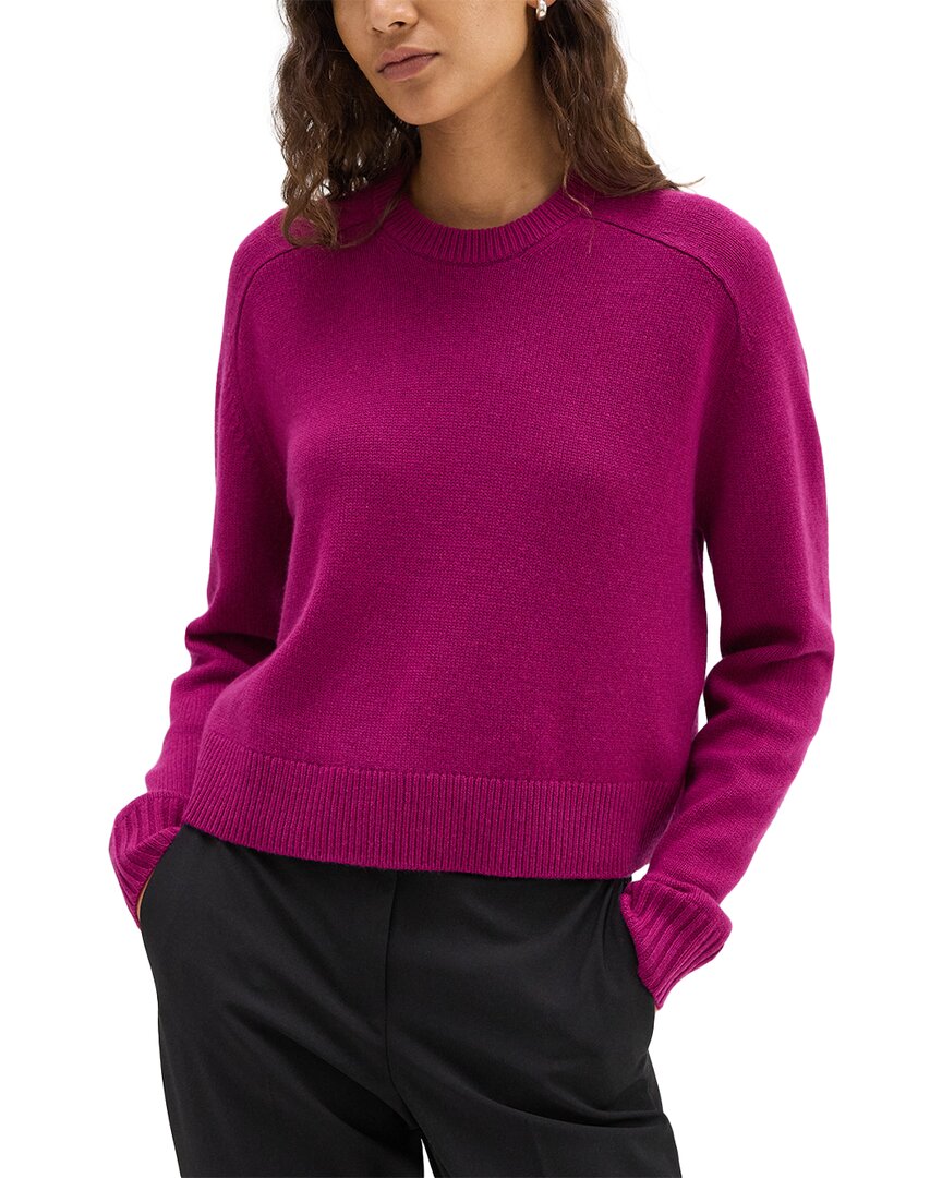 Theory Cropped Sweater In Cashmere In Pink