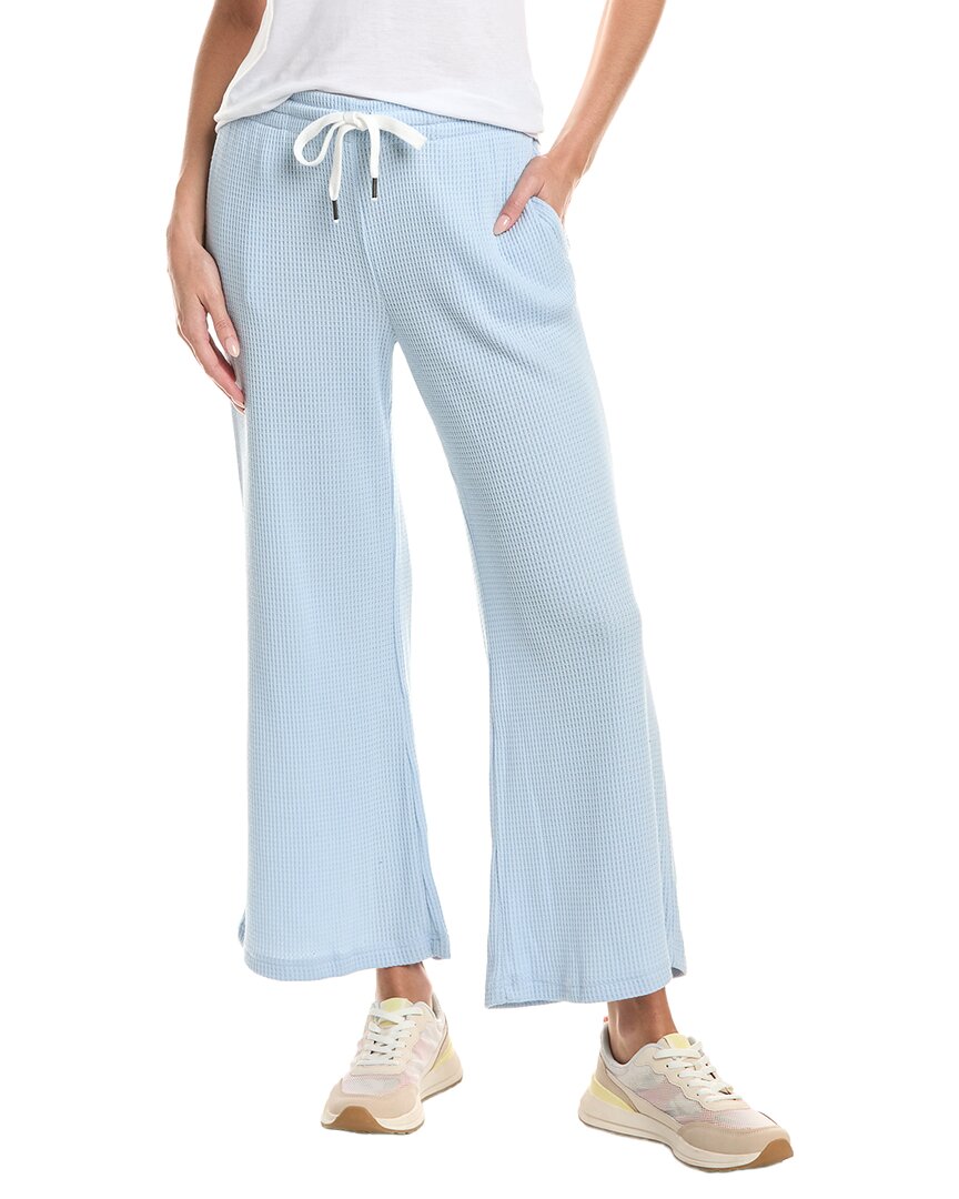 Chaser Waffle Thermal Brandy Jogger Pant In Blue