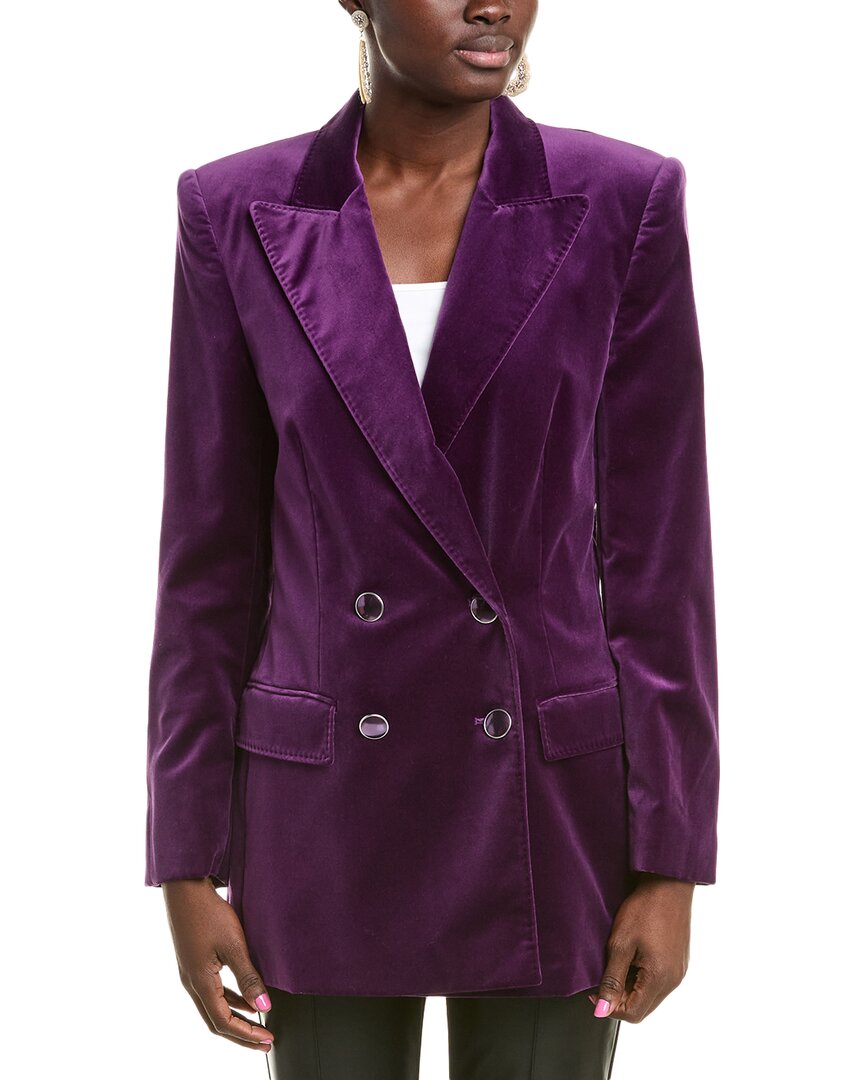 Shop Alberta Ferretti Velvet Blazer In Purple