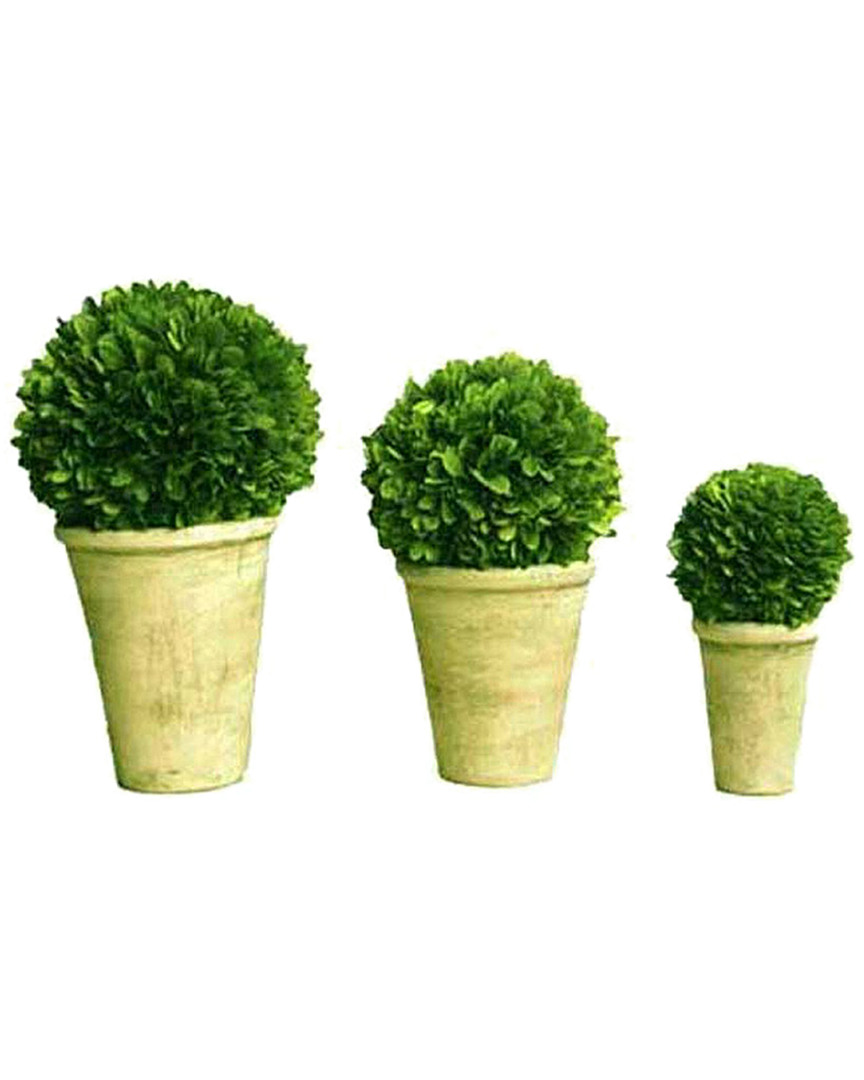 Mills Floral Set Of 3 Boxwood Balls In Beige