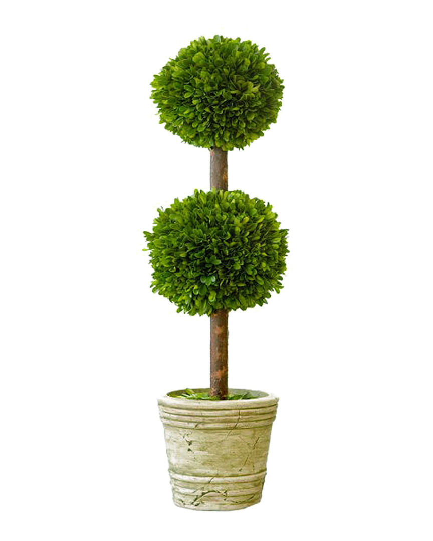 Mills Floral 30in Boxwood Topiary In Beige
