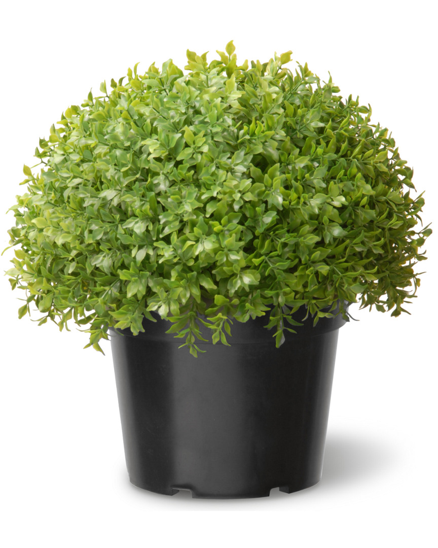 National Tree Company 13in Global Japanese Holly In Multicolor