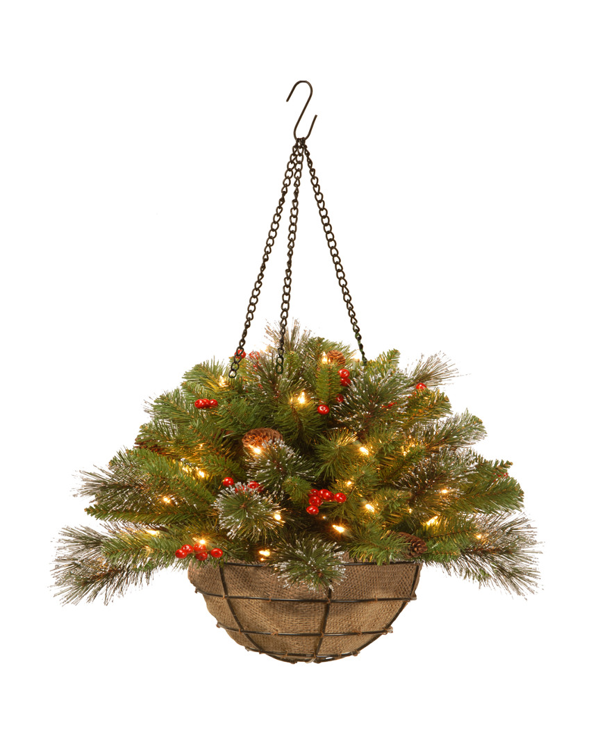National Tree Company 20in Crestwood Spruce Hanging Basket With Battery Operated Warm White Led Lights