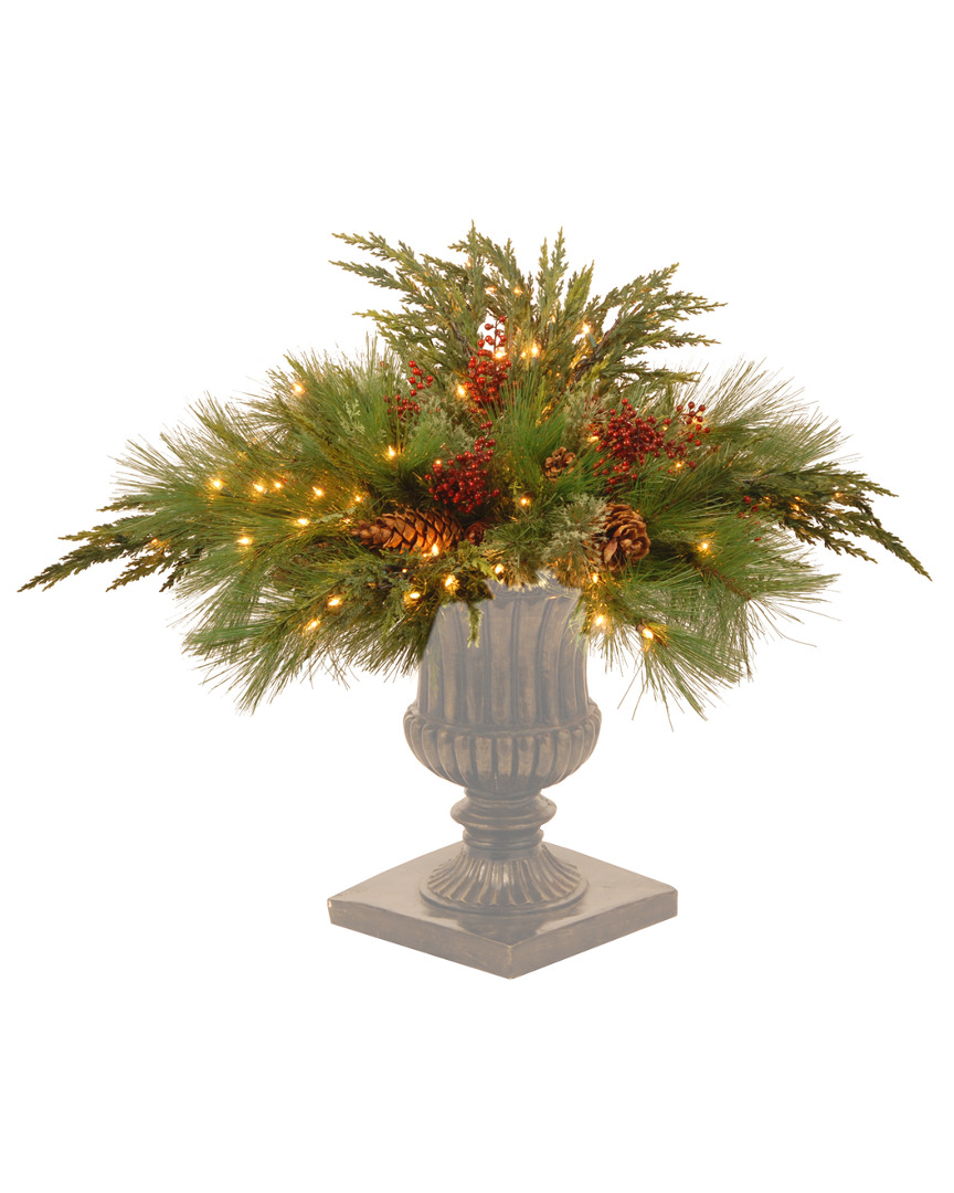 National Tree Company 30in Decorative Collection White Pine Urn Filler With Clear Lights