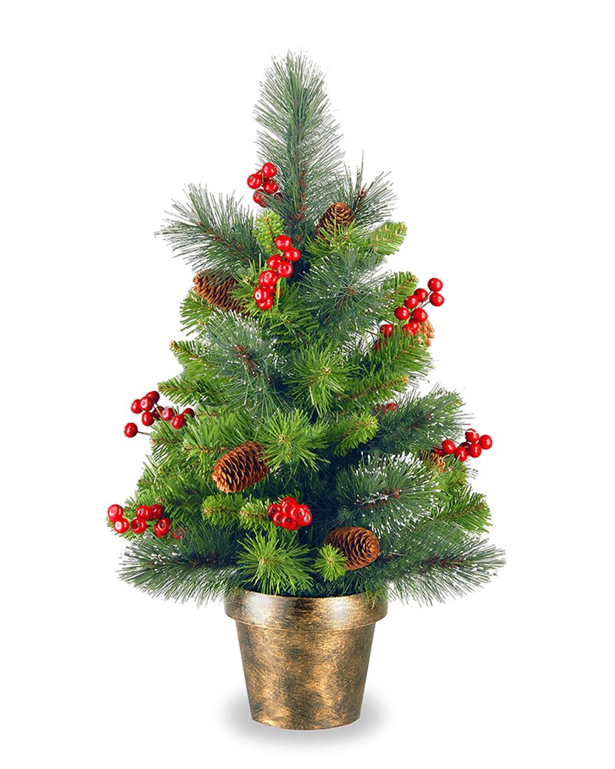 National Tree Company 2ft Crestwood Spruce Tree