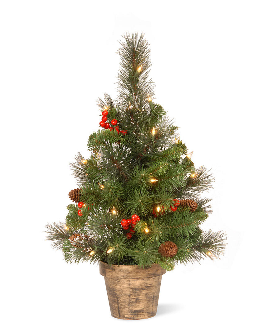 National Tree Company 2ft Crestwood Spruce Small Tree With Silver Bristle, Berries, Cones And Clear