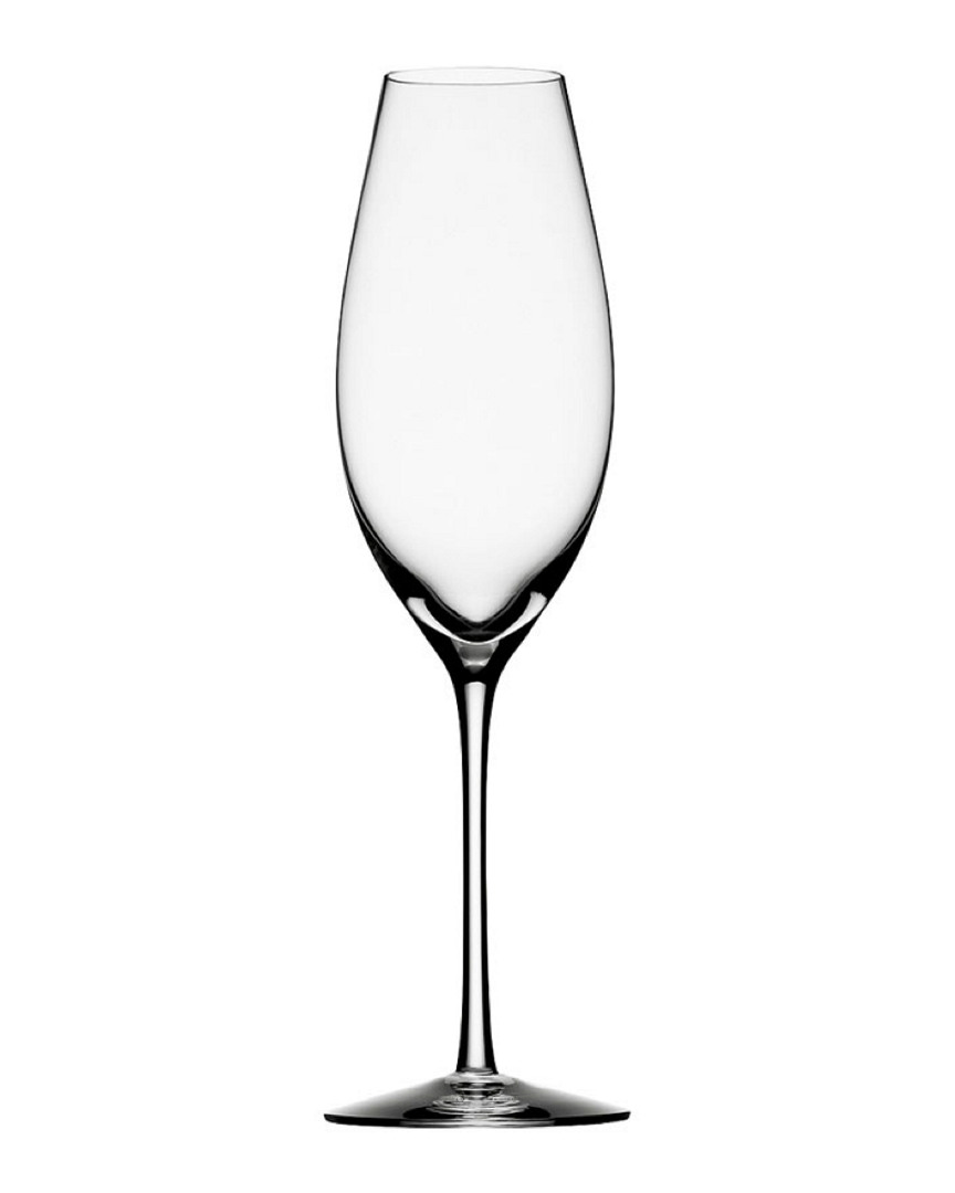 Kosta Boda Orrefors Difference Sparkling Wine Glass In Multicolor