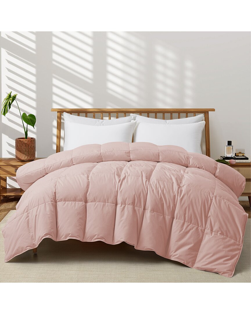 Unikome 300 Thread Count All Season Organic Cotton White Goose Down Comforter