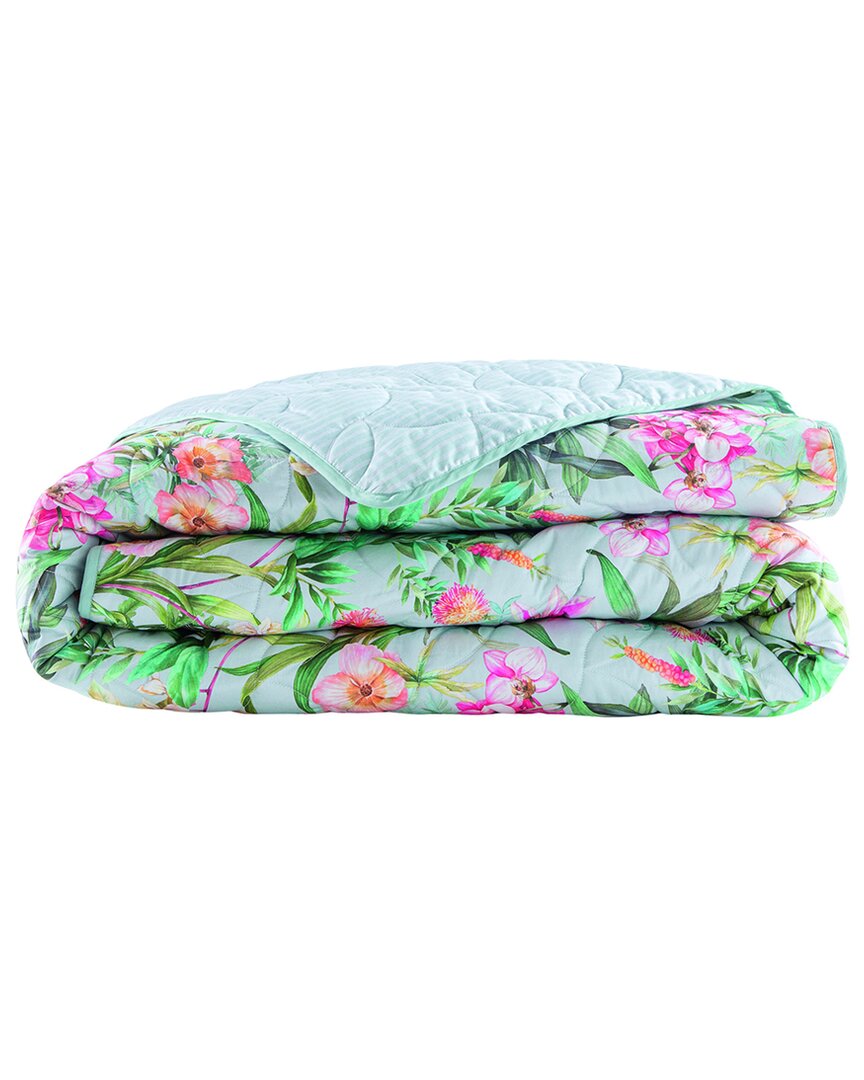 Anne De Solene Anne De Solène Organic Cotton Sateen 300 Thread Count Conte Coverlet