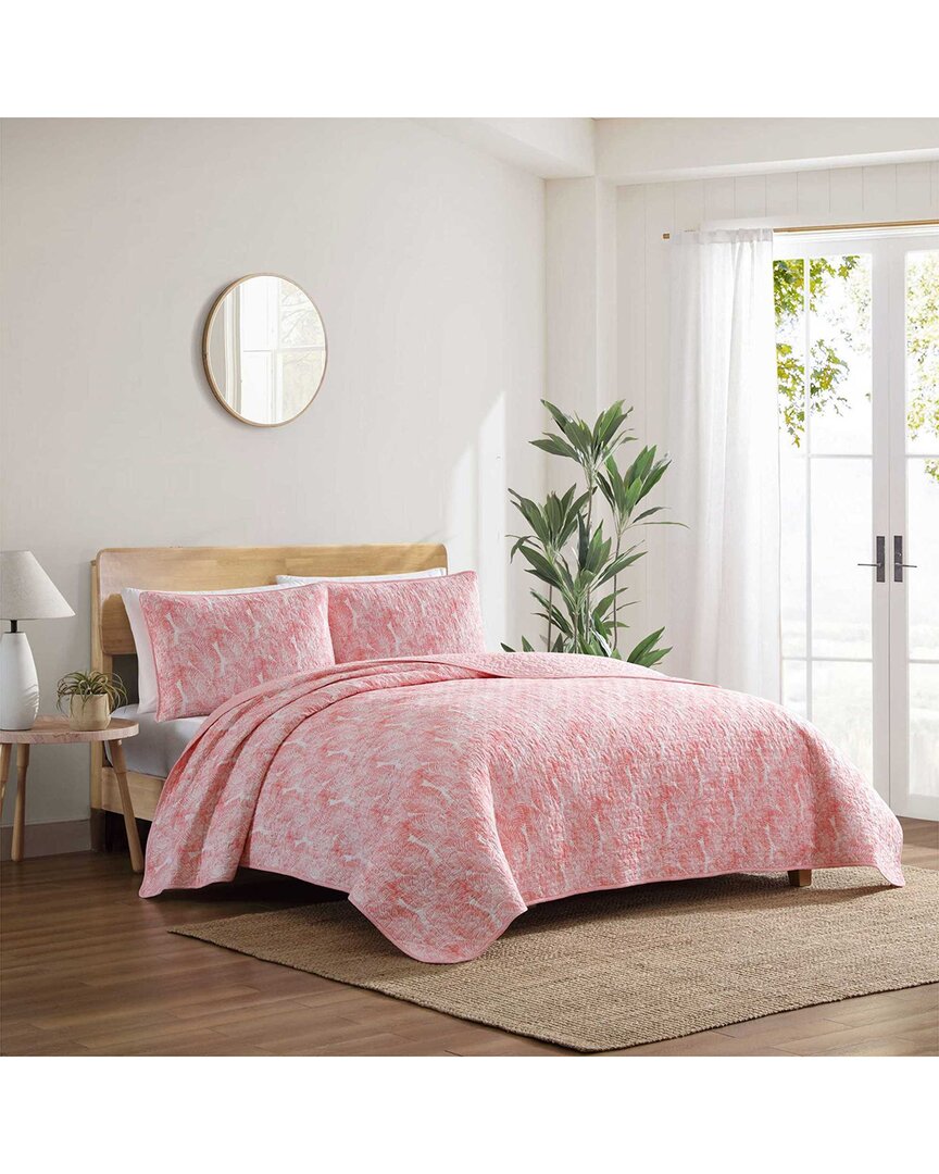 Tommy Bahama 136 Thread Count Distressed Water Leaves Cotton Reversible Quilt Set