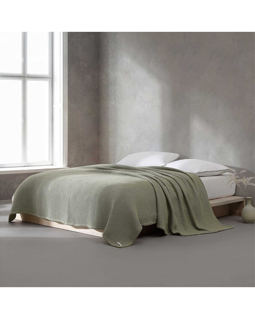 Calvin Klein Ck Cotton Weave Blanket