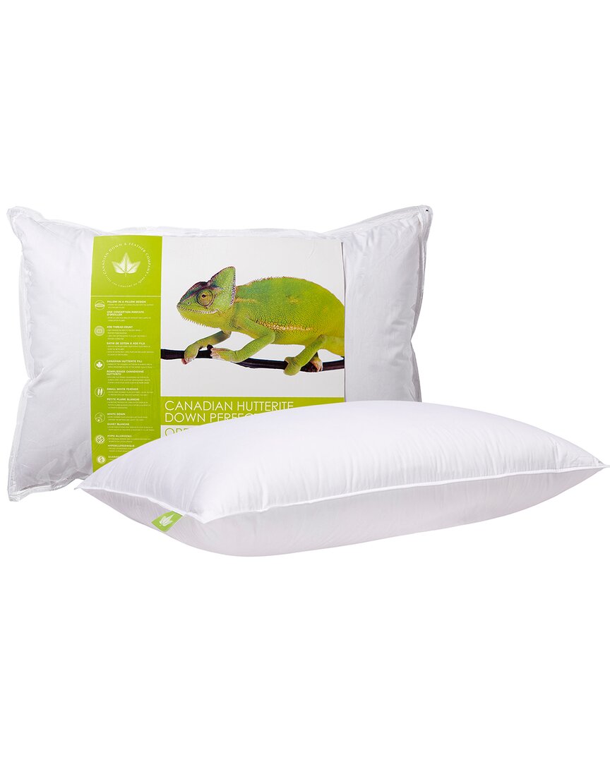 Shop Canadian Down & Feather Company Hutterite Down Perfect Pillow Firm Support