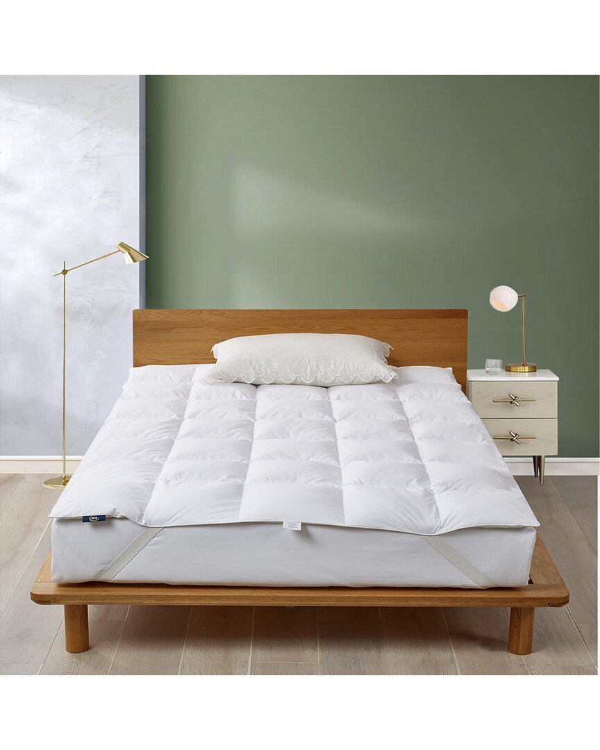 Shop Serta 100% Cotton, Goose Feather And Down Fiber Featherbed In White