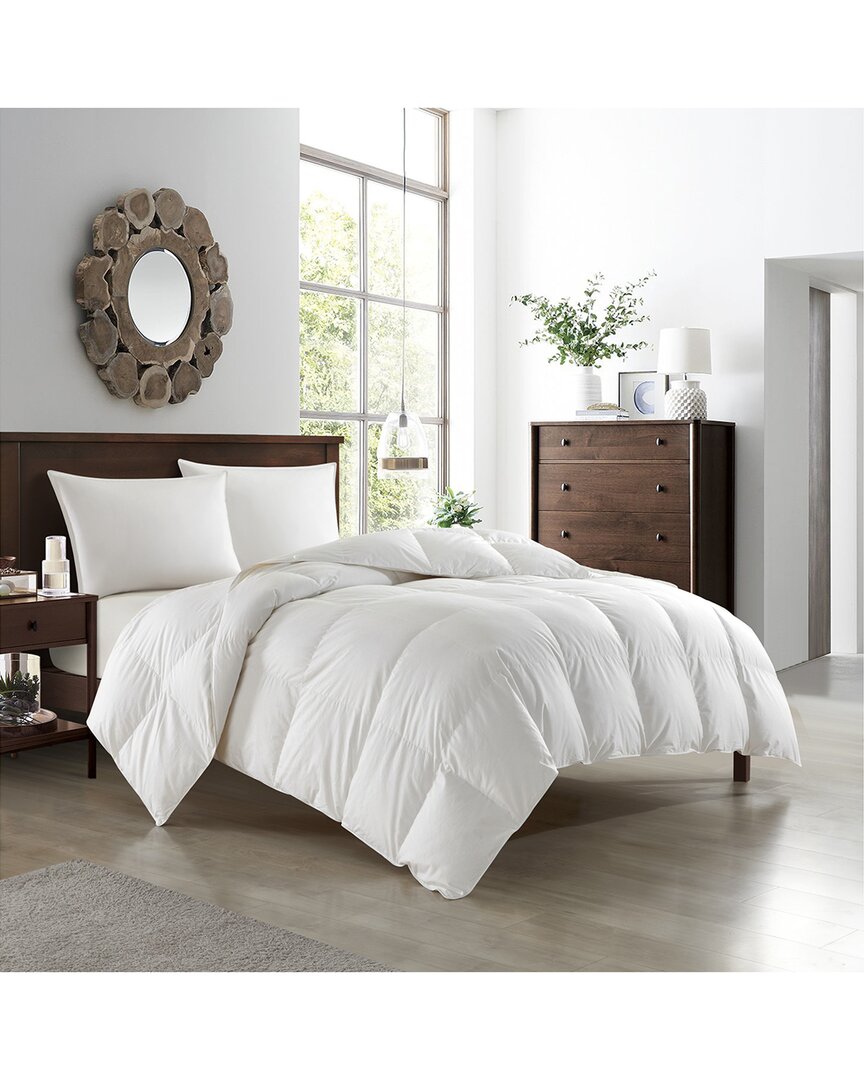 New York And Company New York & Company Gianna Down & Duck Feather Comforter In White