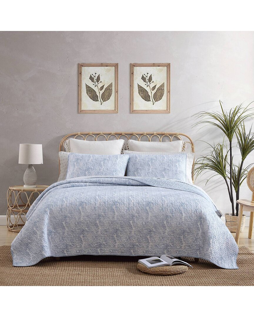 Tommy Bahama Distressed Water Leaves Of Cotton Reversible Quilt Set In Blue