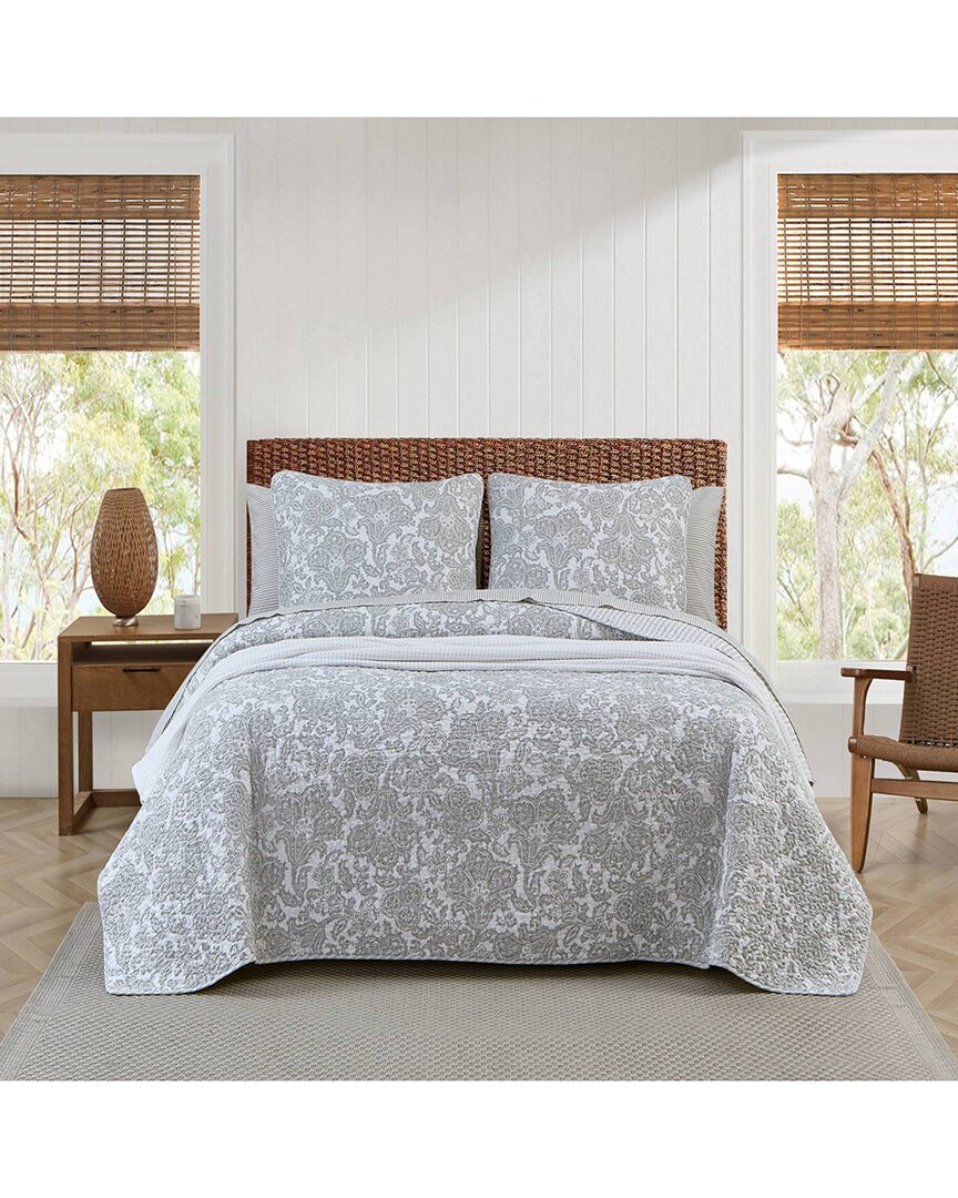 Tommy Bahama Island Memory Of Cotton Reversible Quilt Set In Grey