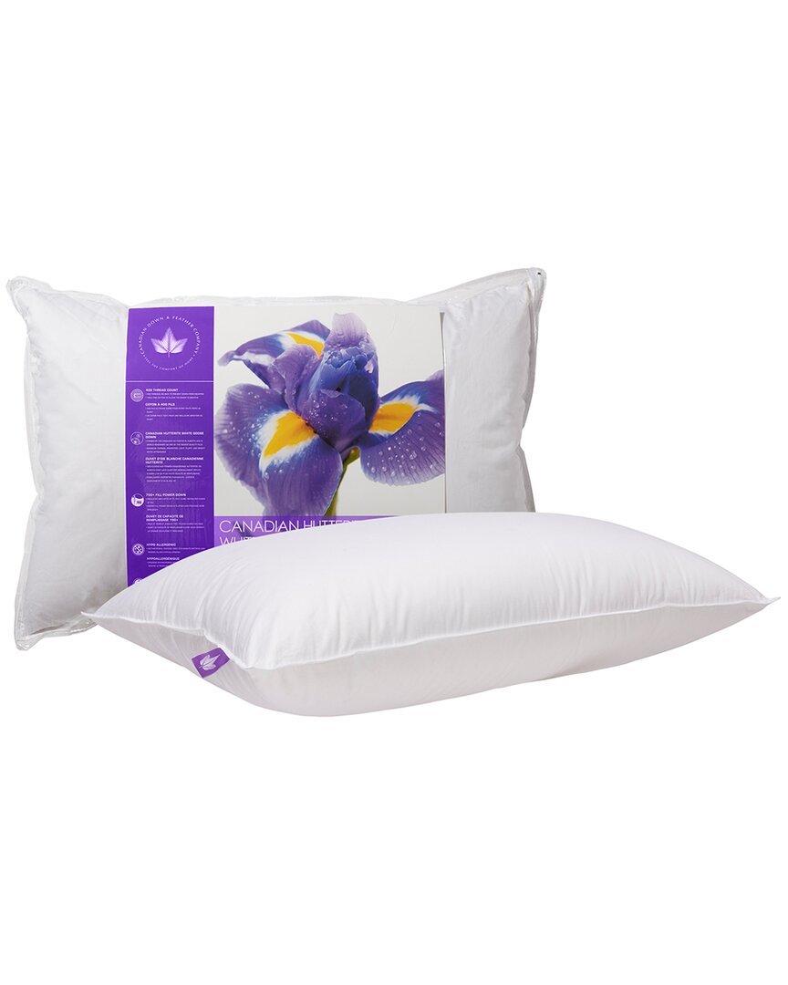 Canadian Down & Feather Company Hutterite Goose Down Pillow Medium Support In White