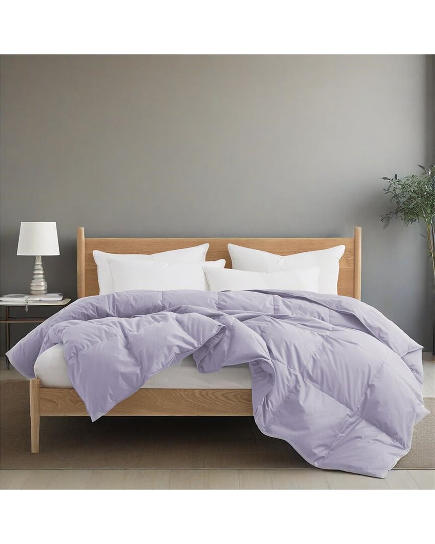 Unikome 300 Thread Count All Season Organic Cotton White Goose Down Comforter In Purple