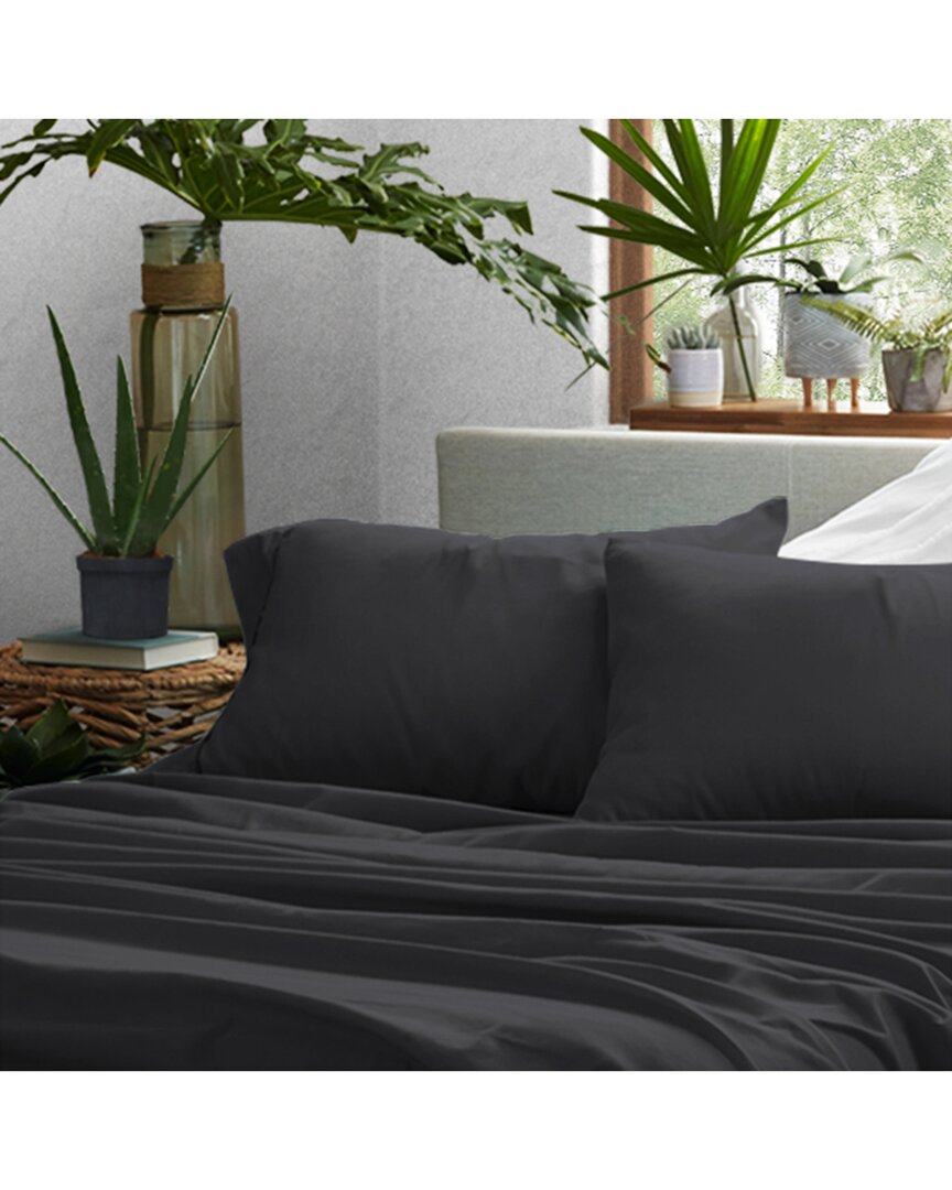 Home Collection Premium Ultra Soft 2pc Pillow Case Set
