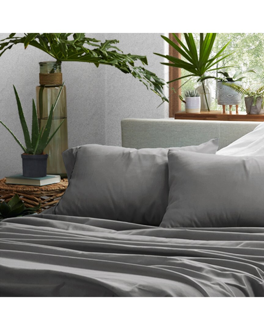 Home Collection Premium Ultra Soft 2pc Pillow Case Set