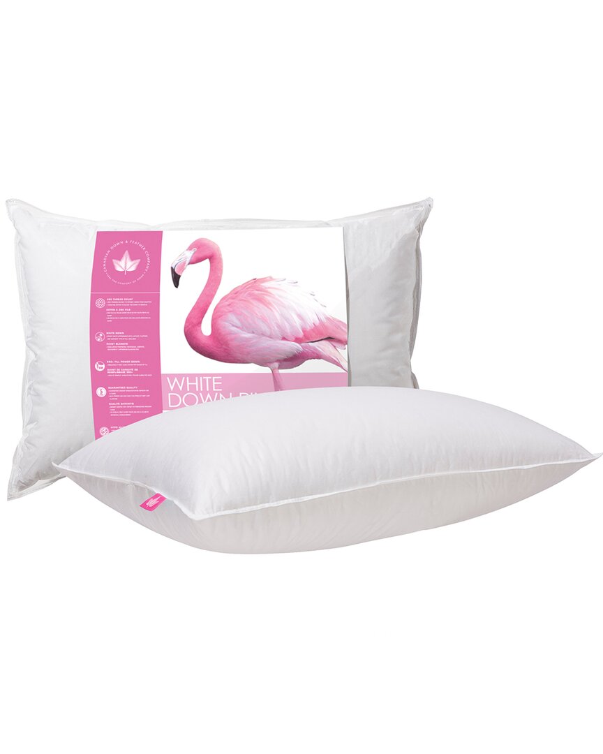 Shop Canadian Down & Feather Company White Down Pillow Firm Support