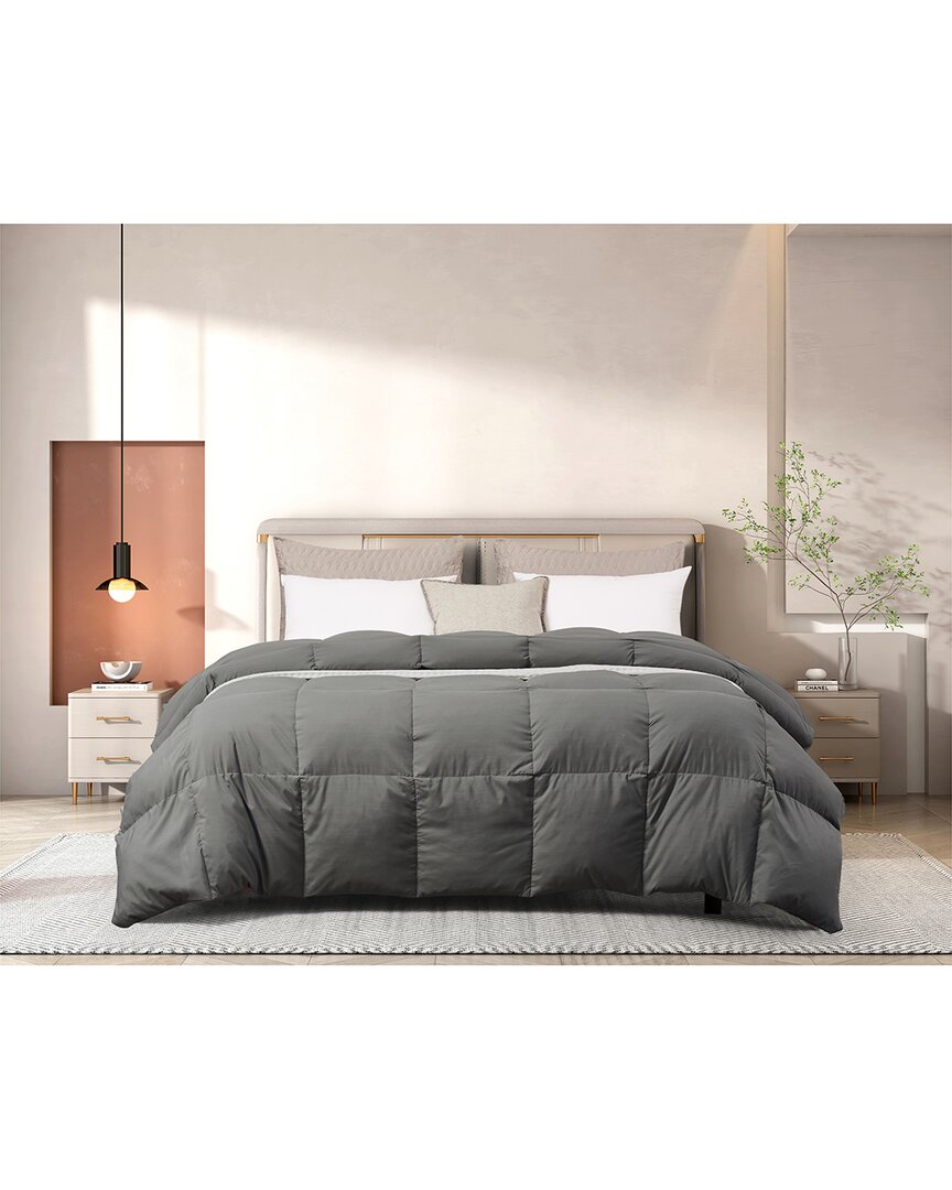Beautyrest All-season Feather & Down Comforter In Gray