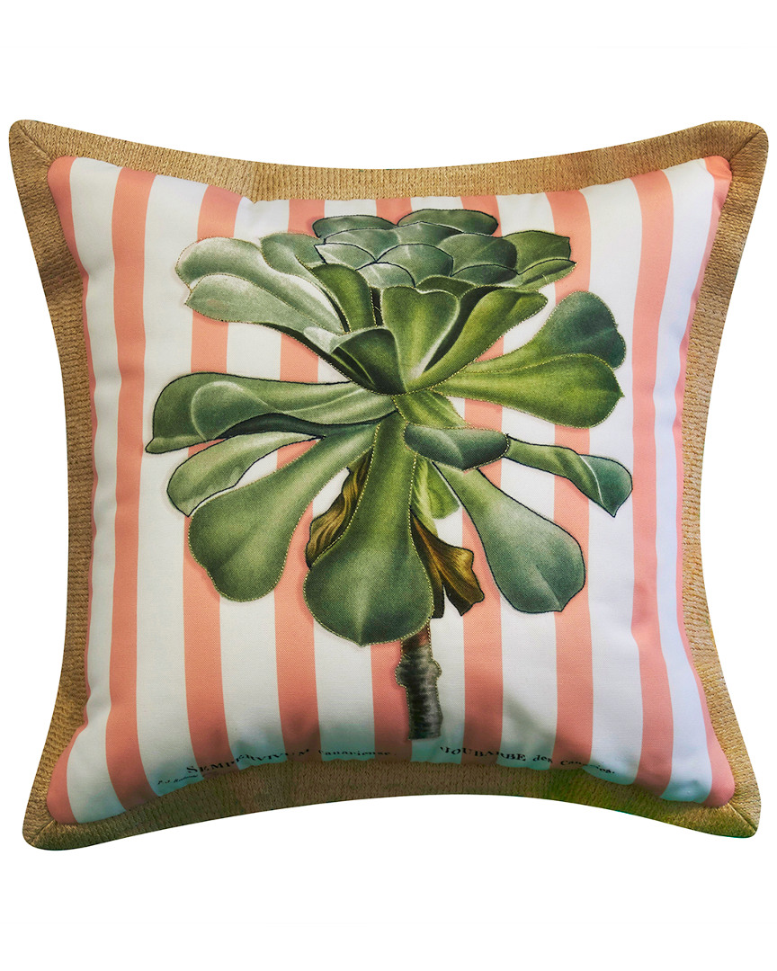 Nybg Succulent Indoor/outdoor Decorative Pillow In Multi