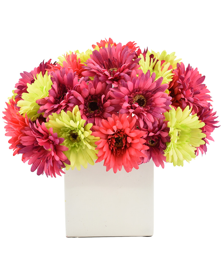 Creative Displays Fuchsia And Green Gerber Daisy Floral Arrangement