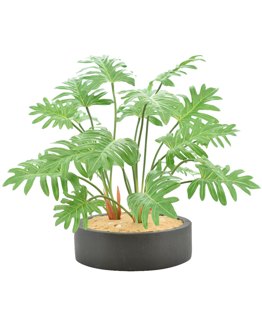 Creative Displays Green Philodendron Plant