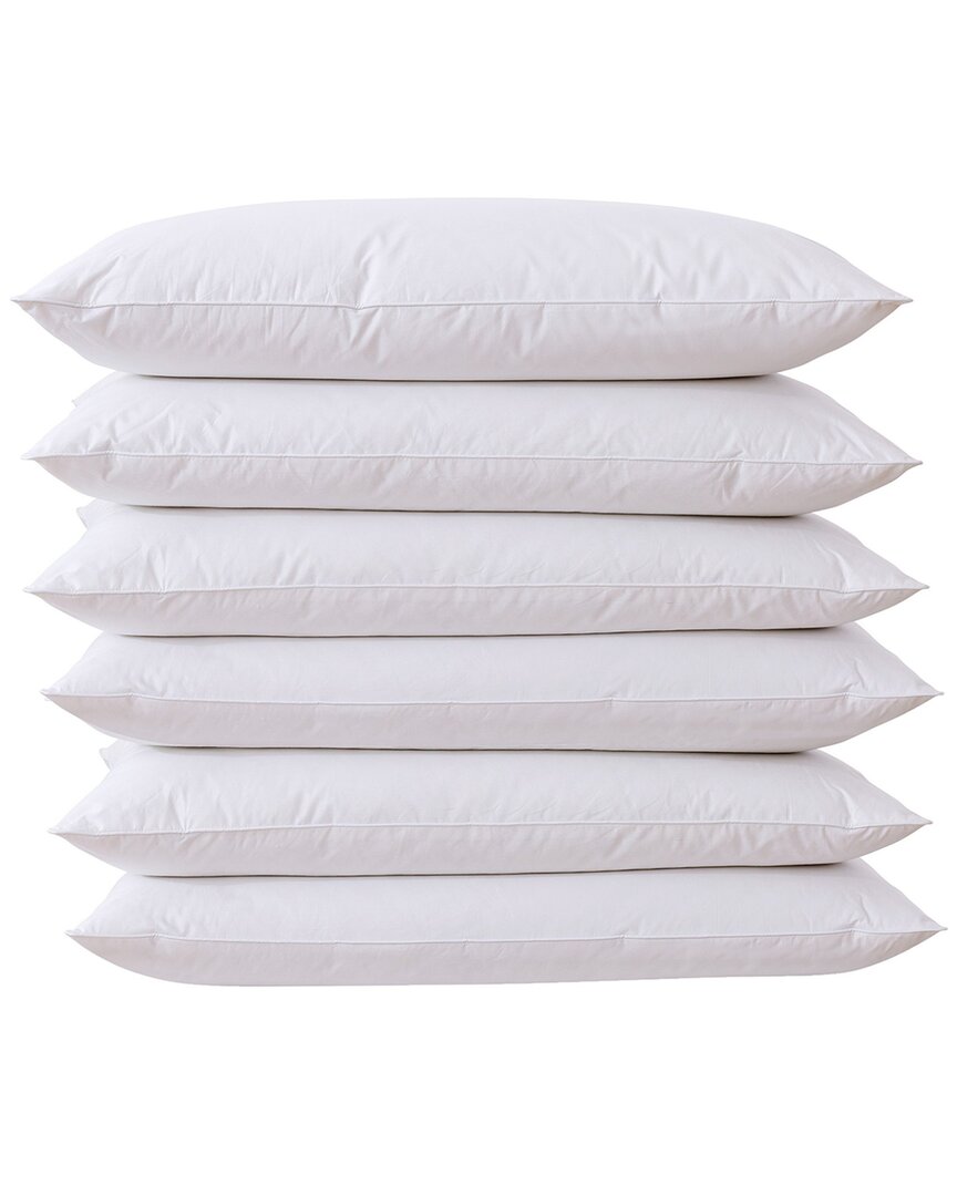 Feather & Loom Pack Of 6 Feather Pillows