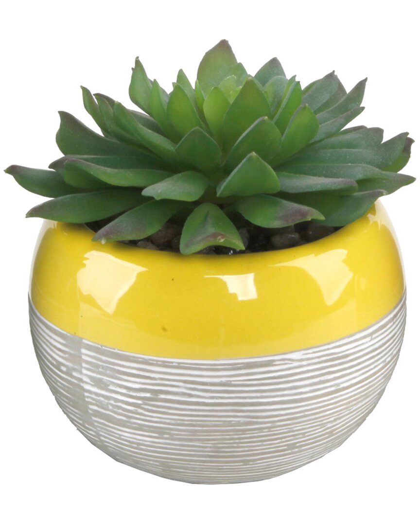 Flora Bunda Succulent In Two Tone Lines Pattern Ceramic Pot In Yellow