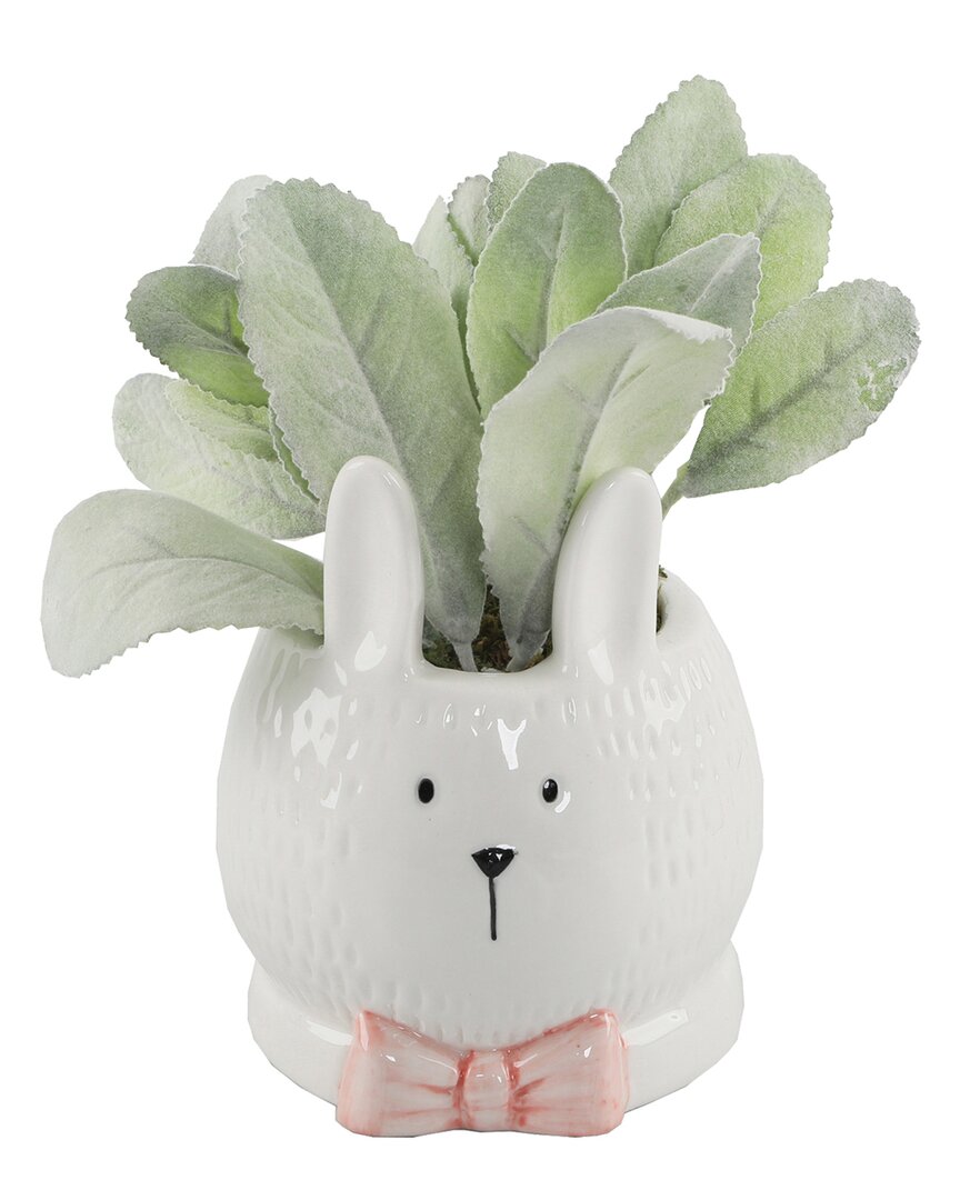Shop Flora Bunda 4in Lamb's Ear Ceramic Bunny With Pink Bow In White