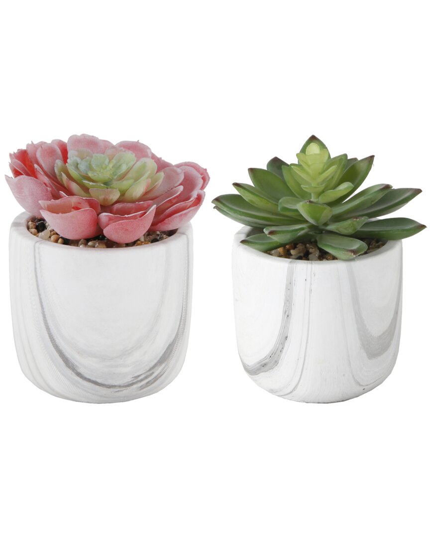 Flora Bunda Set Of 2 Succulents In Marble Pots In White