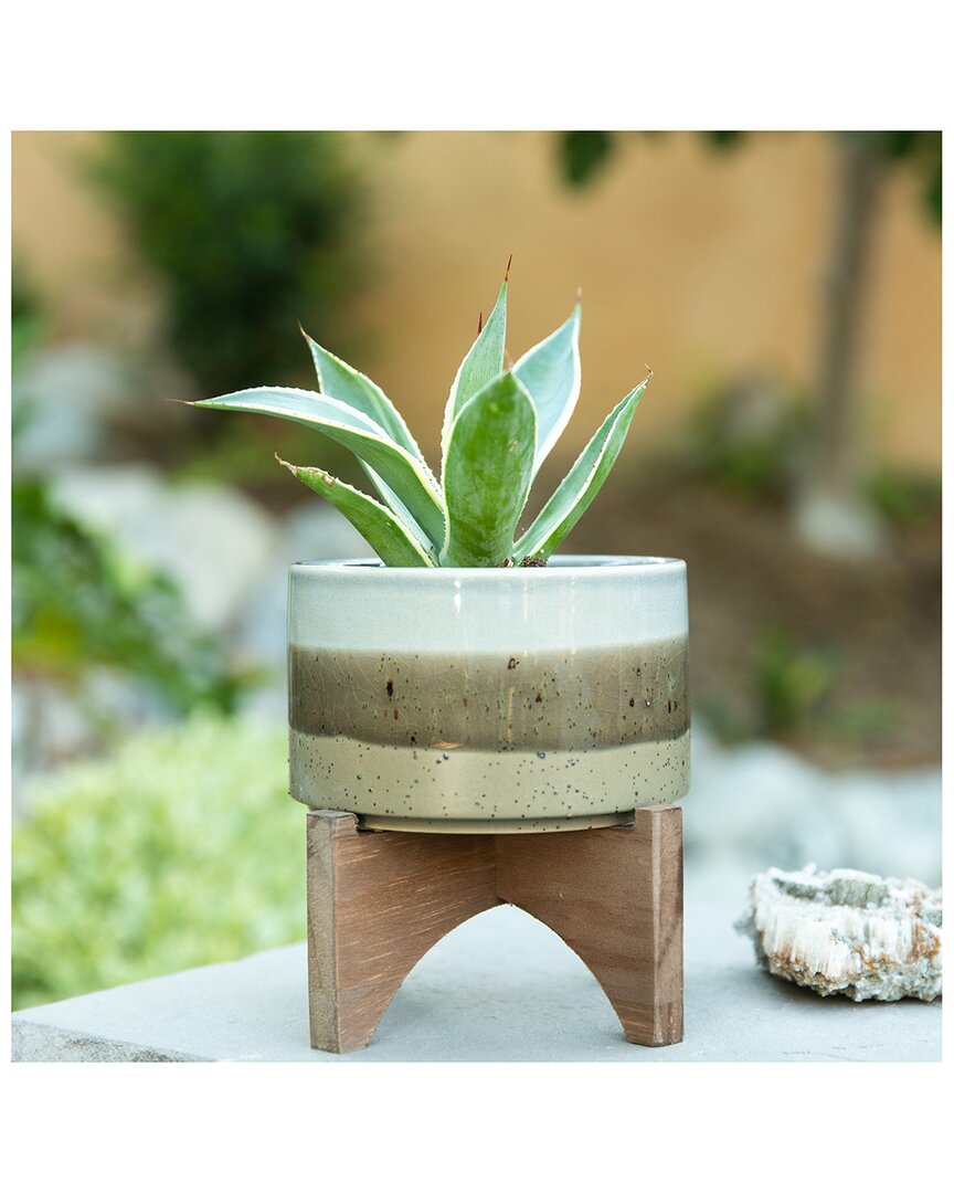 Flora Bunda 5in Ash Finish Ceramic On Wood Stand In Grey