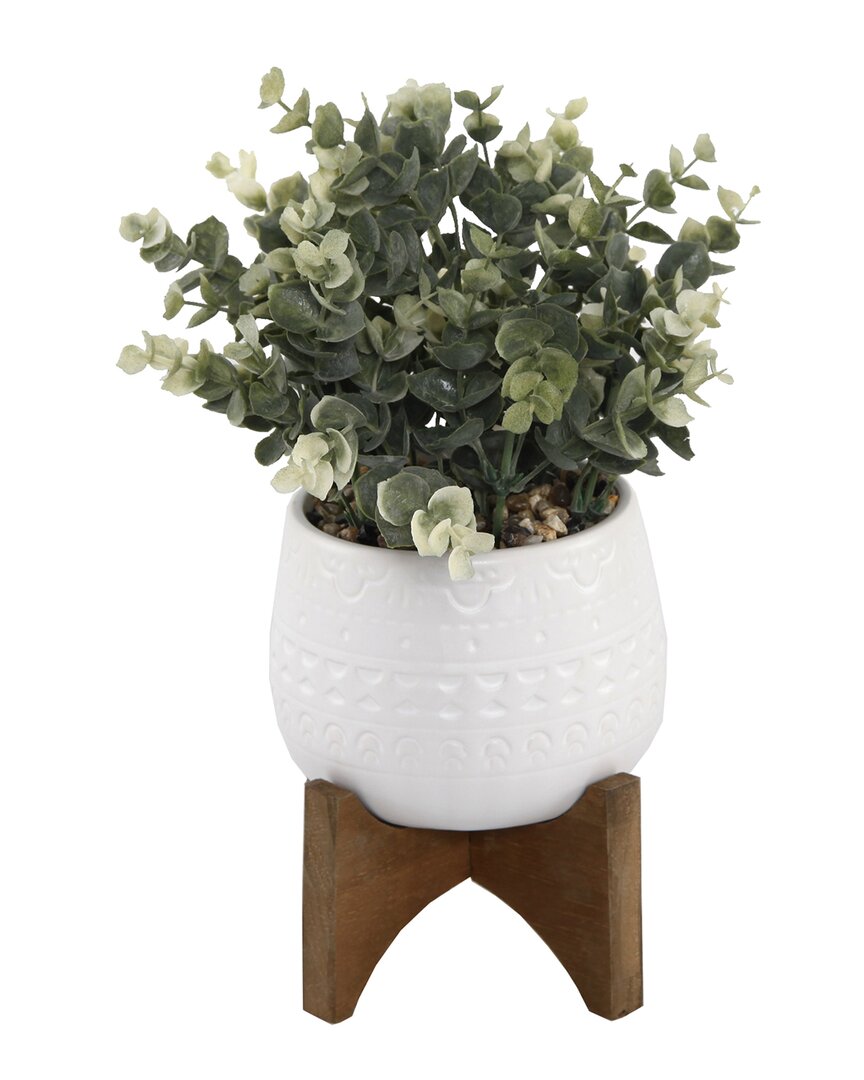 Flora Bunda Eucalyptus In 5in Matte White Mayan Ceramic Pot On Wood Stand In White