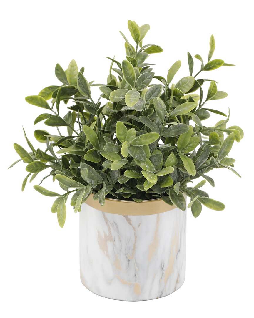 Flora Bunda Tea Leaf Plant In Marble 4.5in Ceramic Pot In White