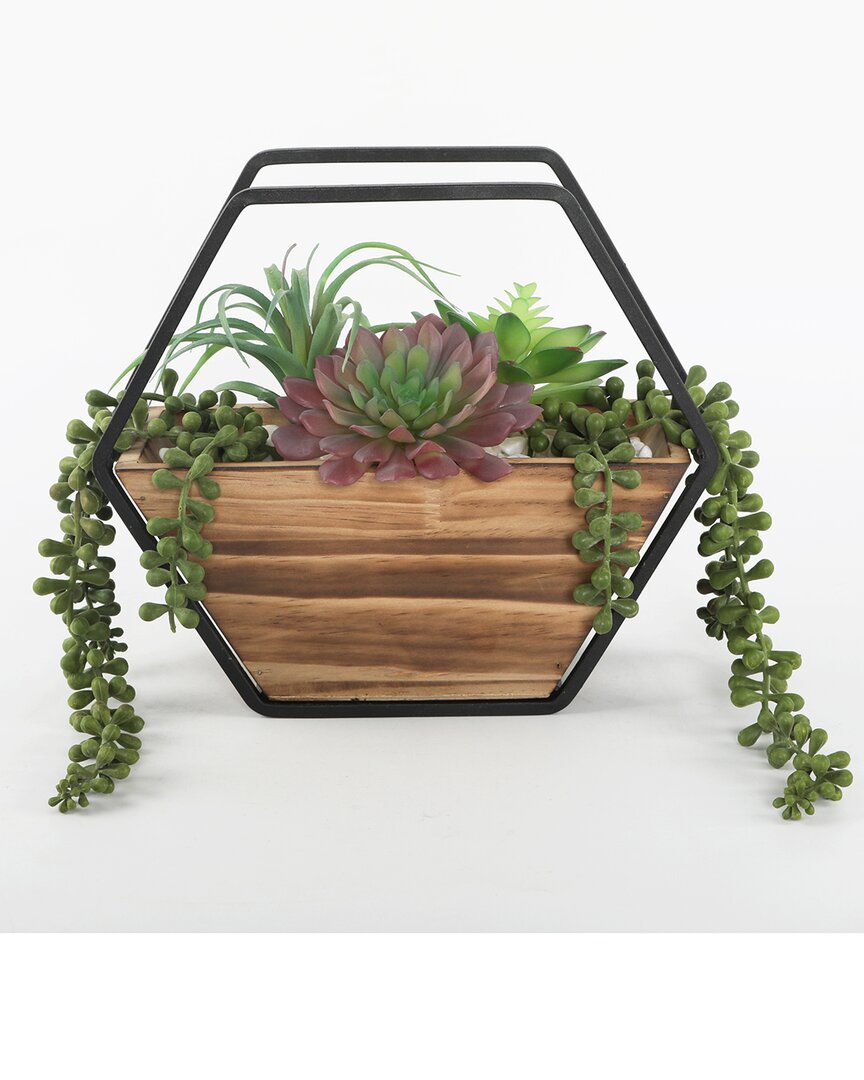 Flora Bunda Succulent Wall Pocket In Brown
