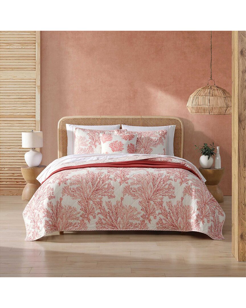 Tommy Bahama 136 Thread Count Coral Garden Reversible Quilt Set In Orange