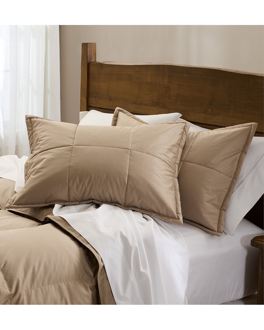 Cuddledown Chroma Quilted Sham - Standard In Brown