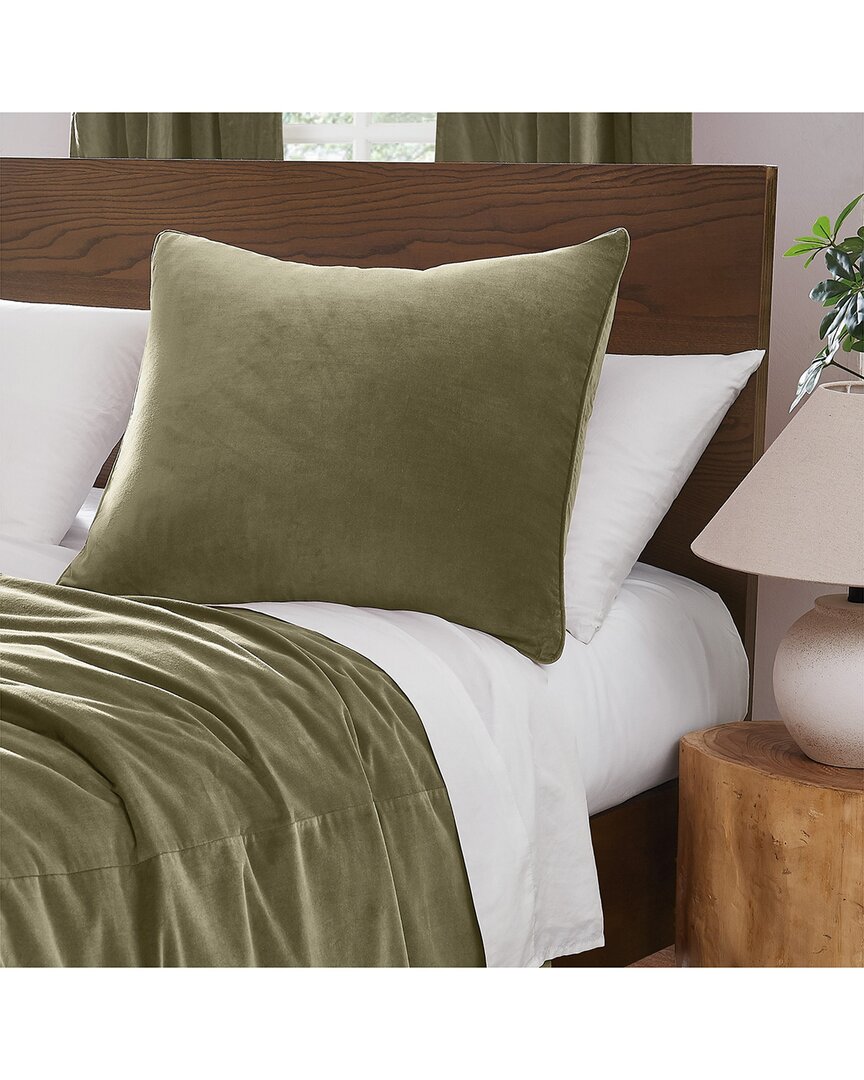Brooklyn Loom Matte Cotton Velvet Euro Sham