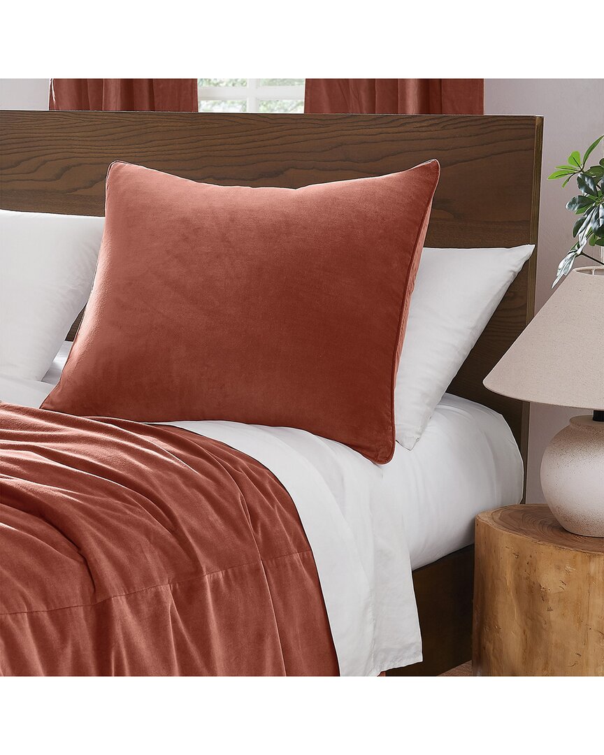 Brooklyn Loom Matte Cotton Velvet Euro Sham