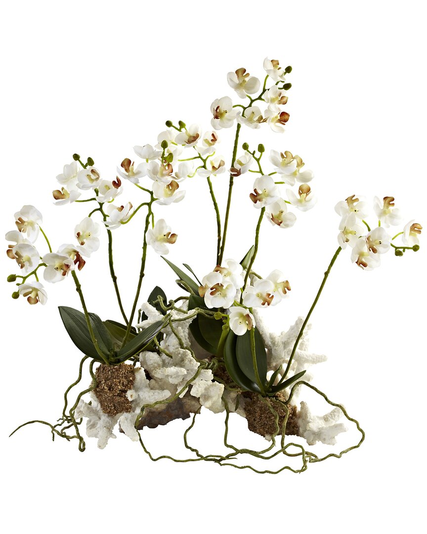 Nearly Natural Mini Phalaenopsis Set On Coral In White