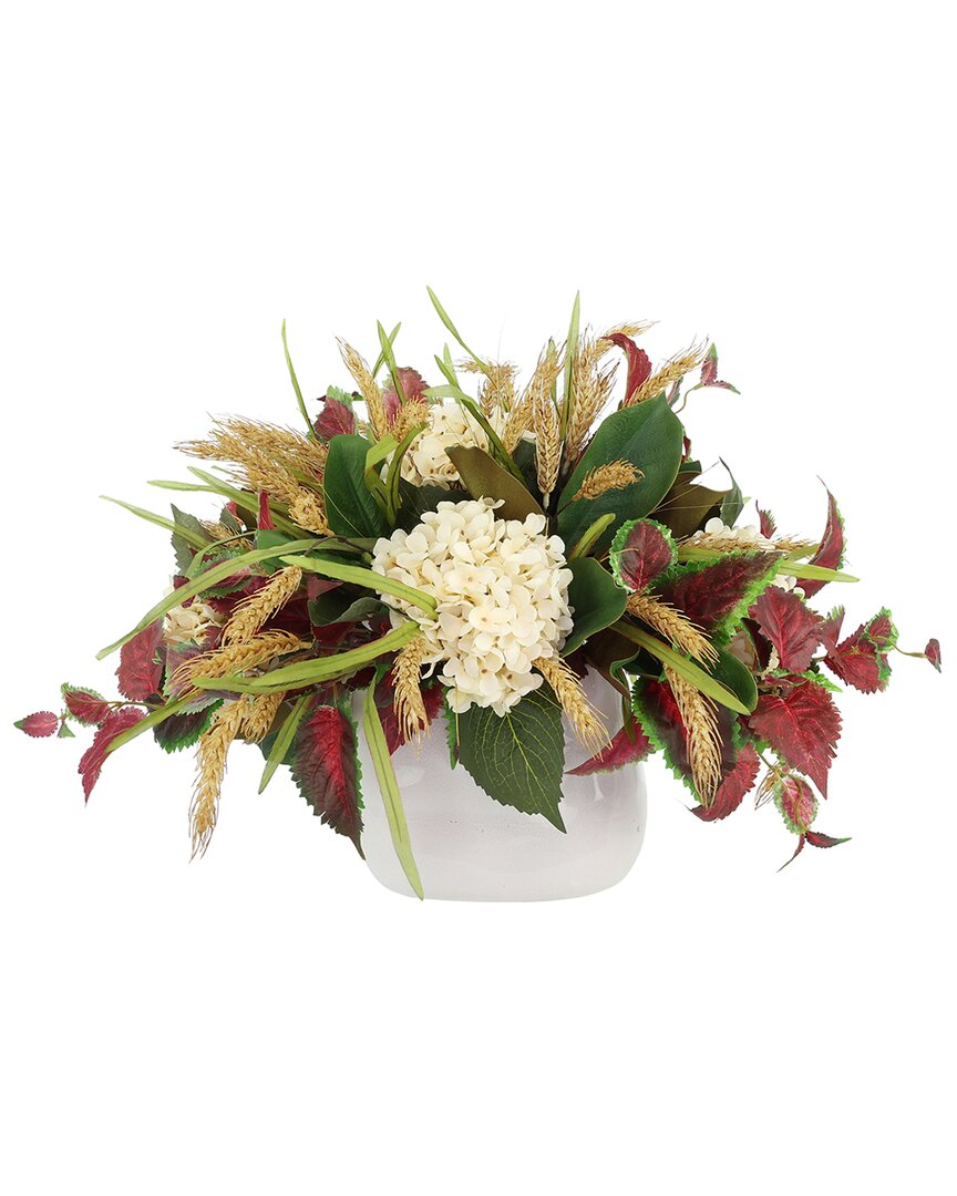 CREATIVE DISPLAYS CREATIVE DISPLAYS MODERN FALL CENTERPIECE WITH CREAM HYDRANGEAS & RED IVY 