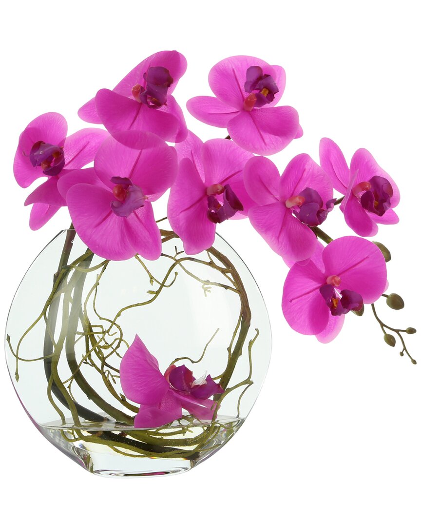 Creative Displays Pink Orchid With Vine Floral