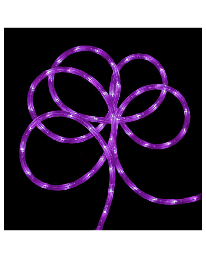 Northlight 288' Commercial Grade Led Indoor/outdoor Christmas Rope Lights On A Spool